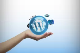 Wordpress Plugin Development